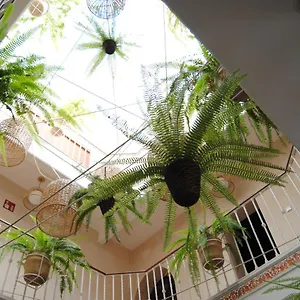 Pensjonat Cordoba